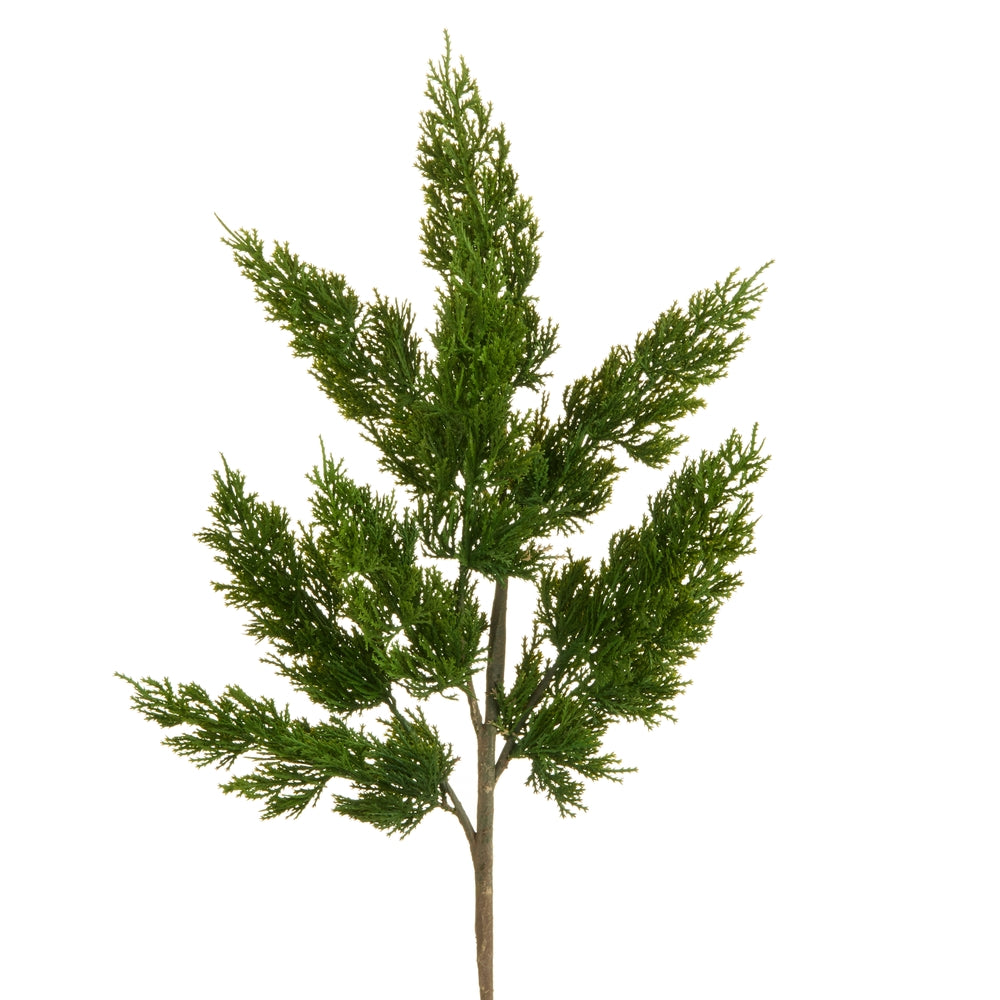 25" Green Cedar Spray