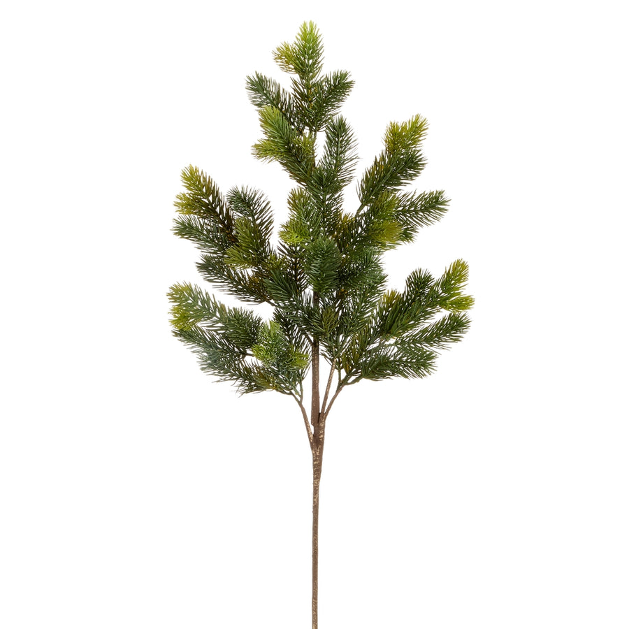39" Pine Branch