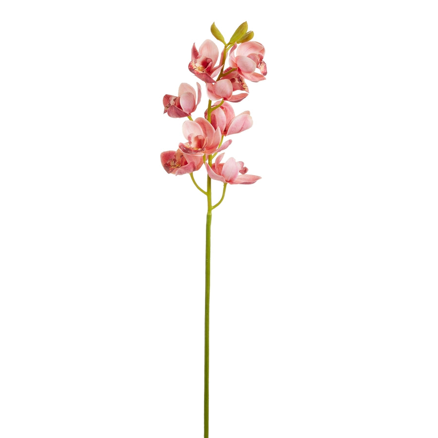 27" Pink Cymbidium Orchid Stem