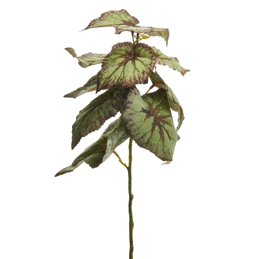 15.5" Begonia Leaf Spray