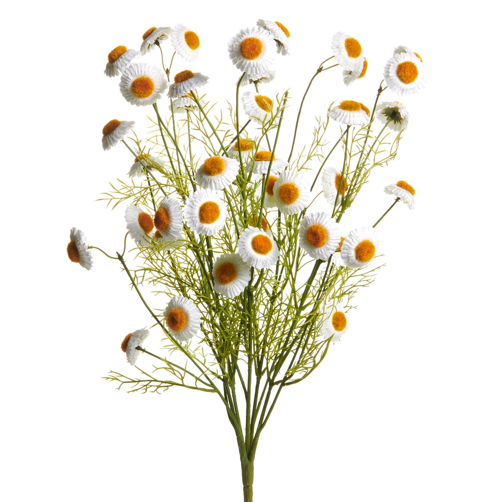 21" White Chamomile Bush