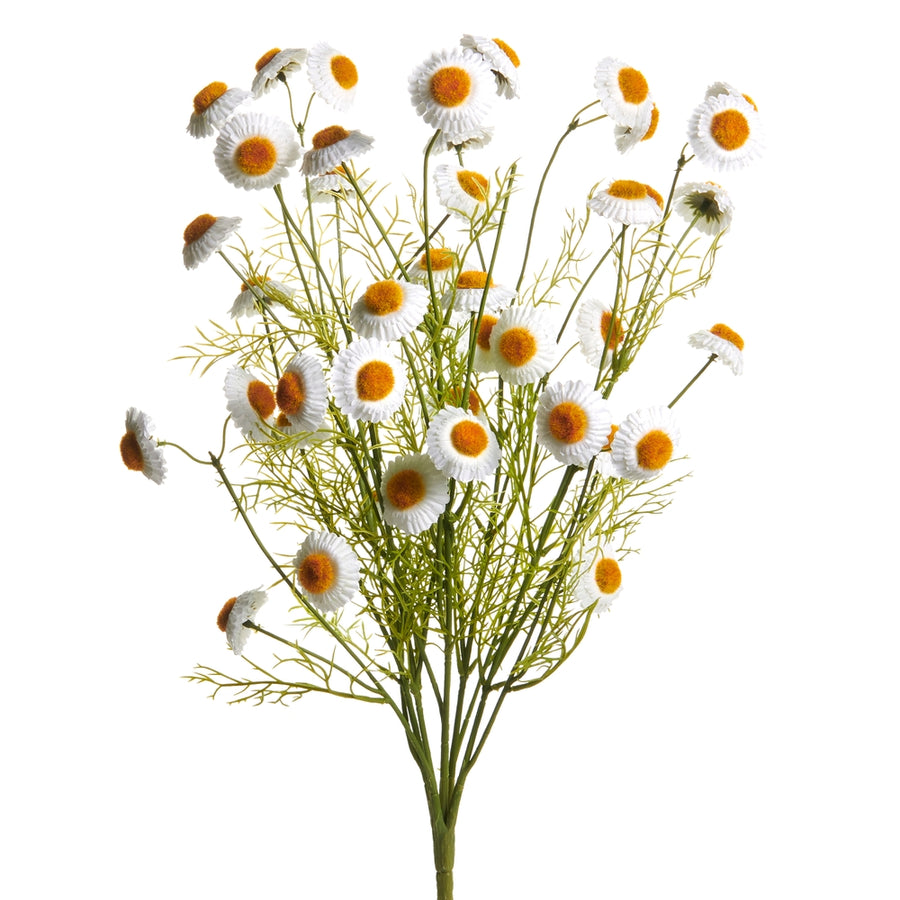 21" White Chamomile Bush