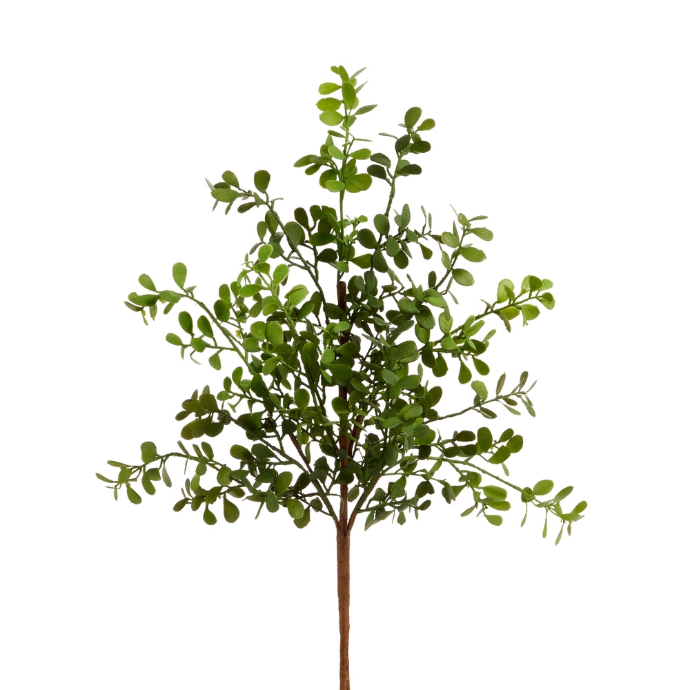 28.5" Boxwood Spray