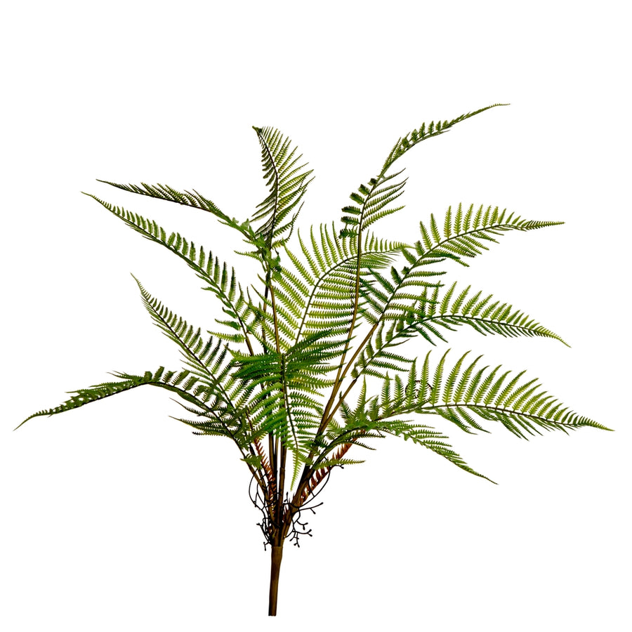 28.5" Lady Fern Bush
