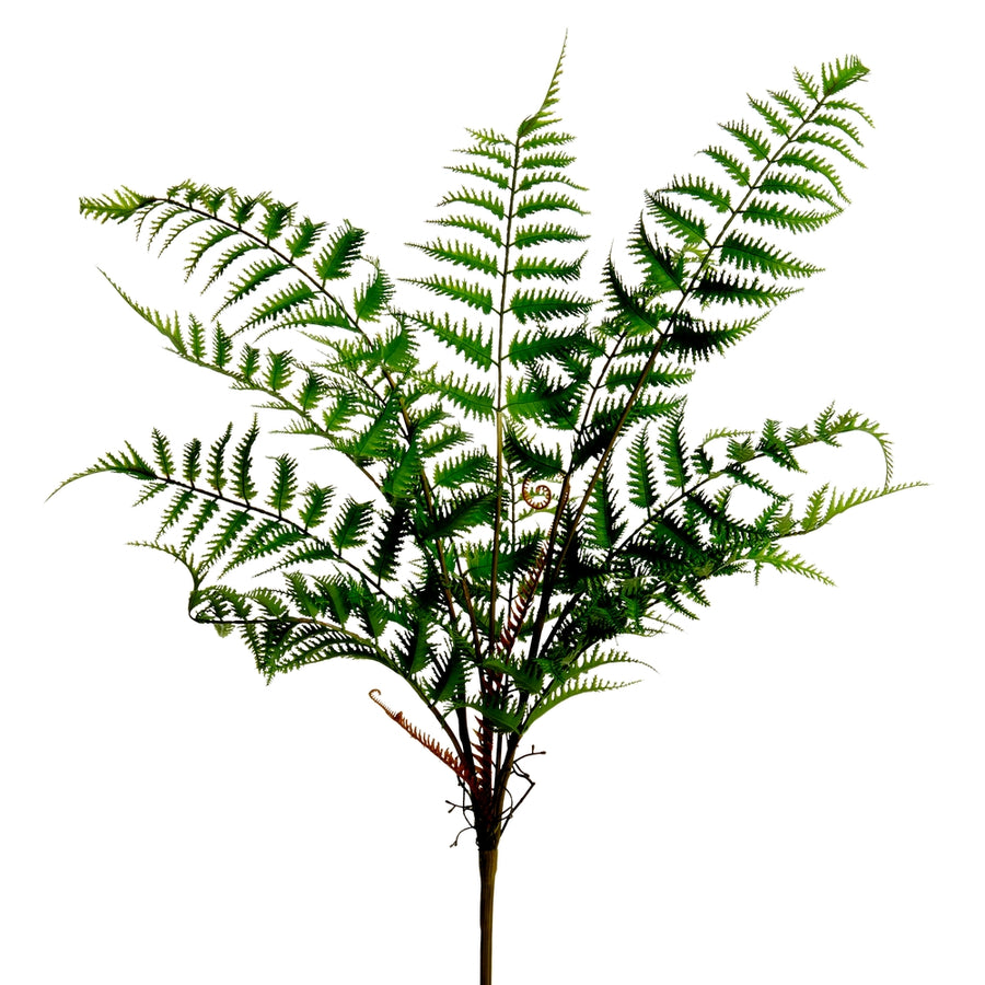 28.5" Cinnamon Fern Bush