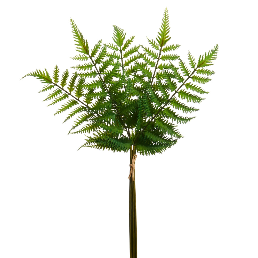 22" Cinnamon Fern Bundle