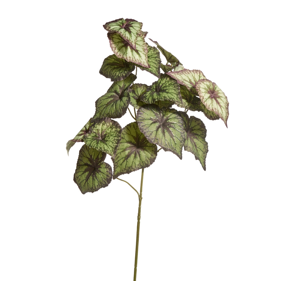 31" Begonia Leaf Spray