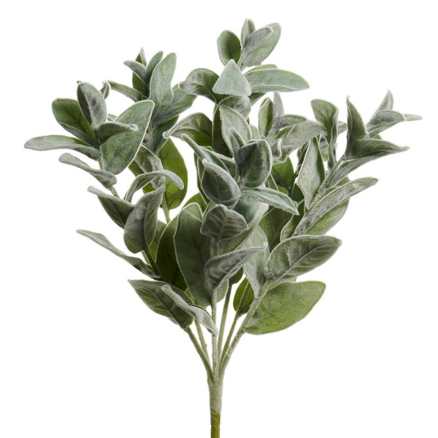 20" Lambs Ear Bush