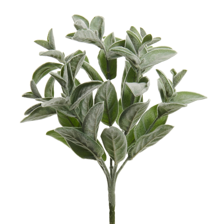 16" Lambs Ear Bush