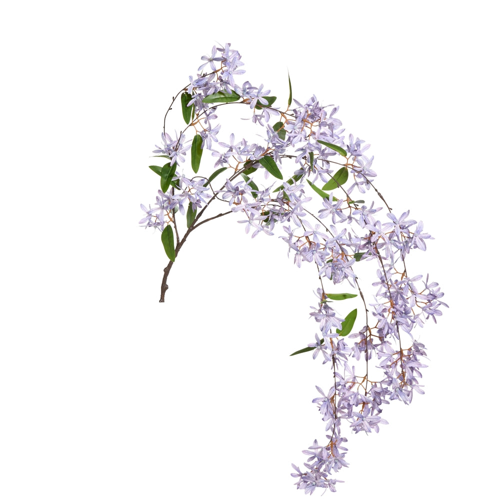35.5" Sandpaper Vine Bush