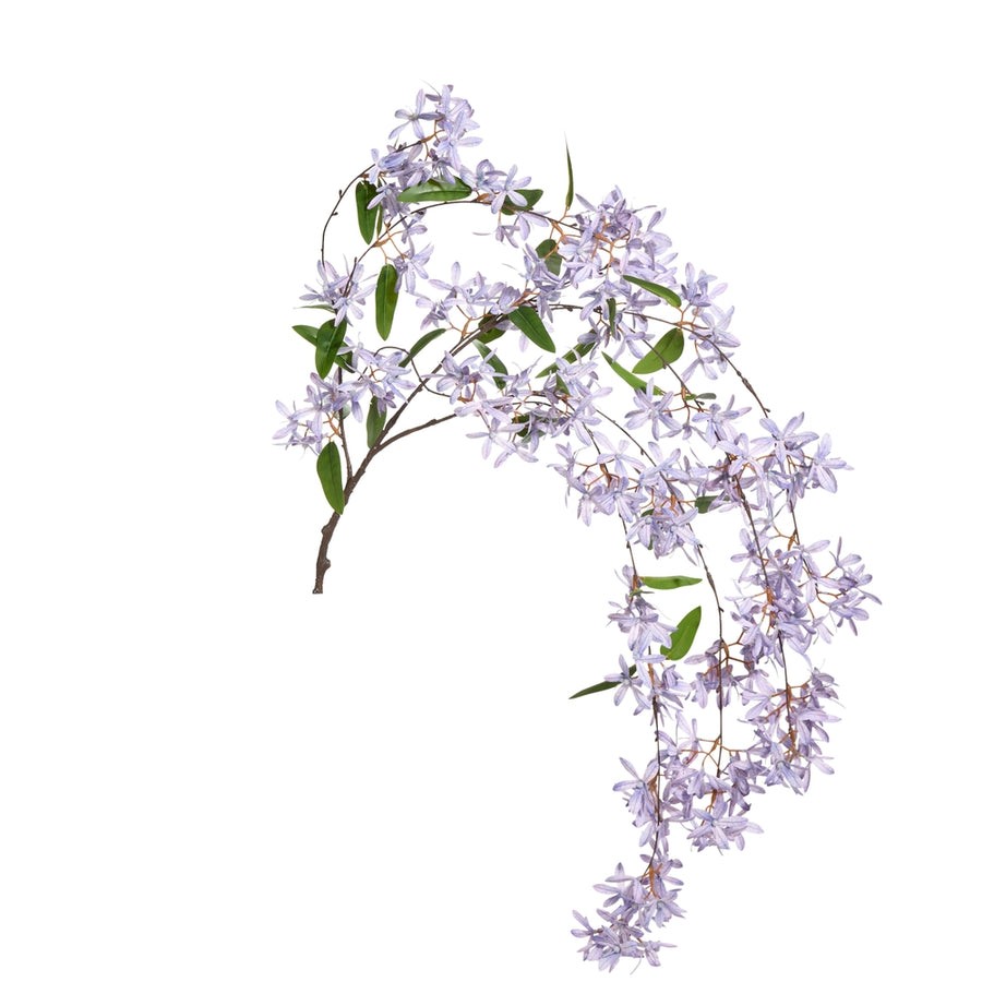 35.5" Sandpaper Vine Bush