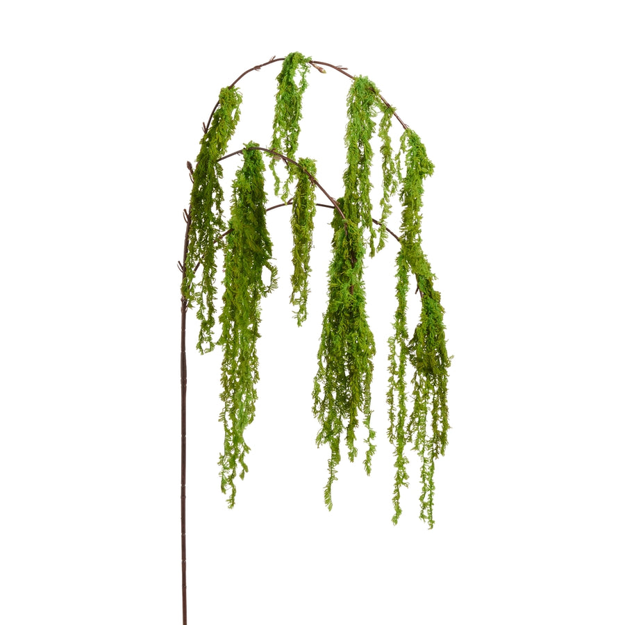 50" Hanging Moss Branch
