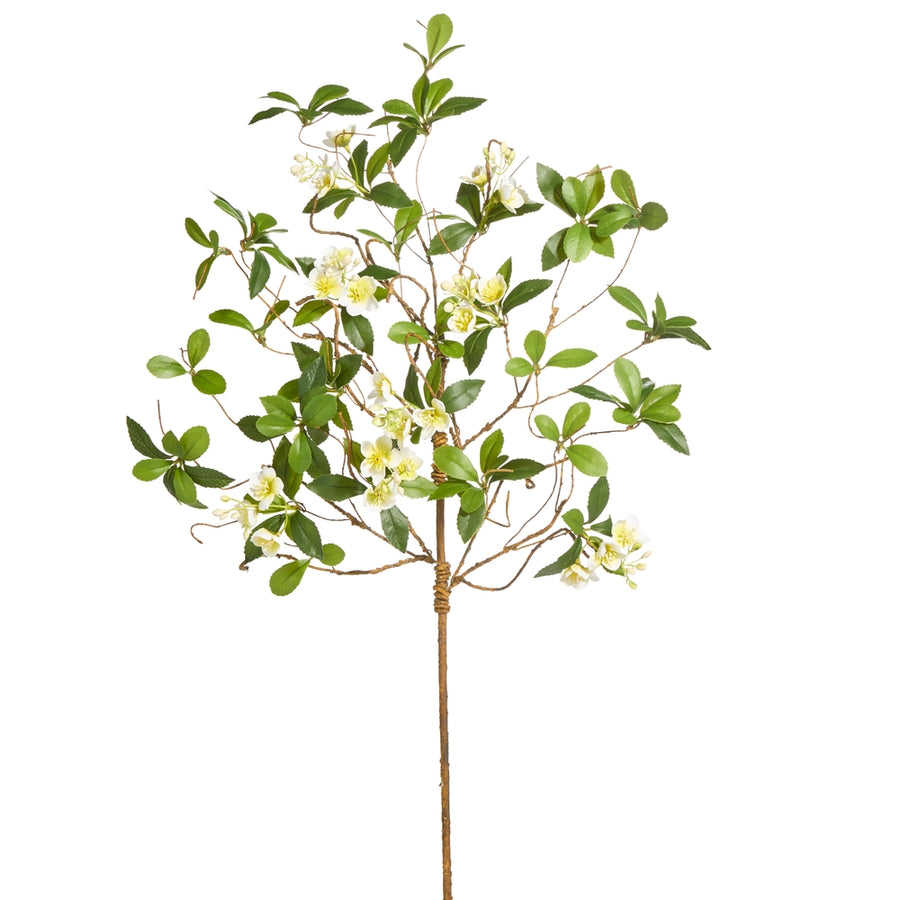 36" White Clematis Vine Stem