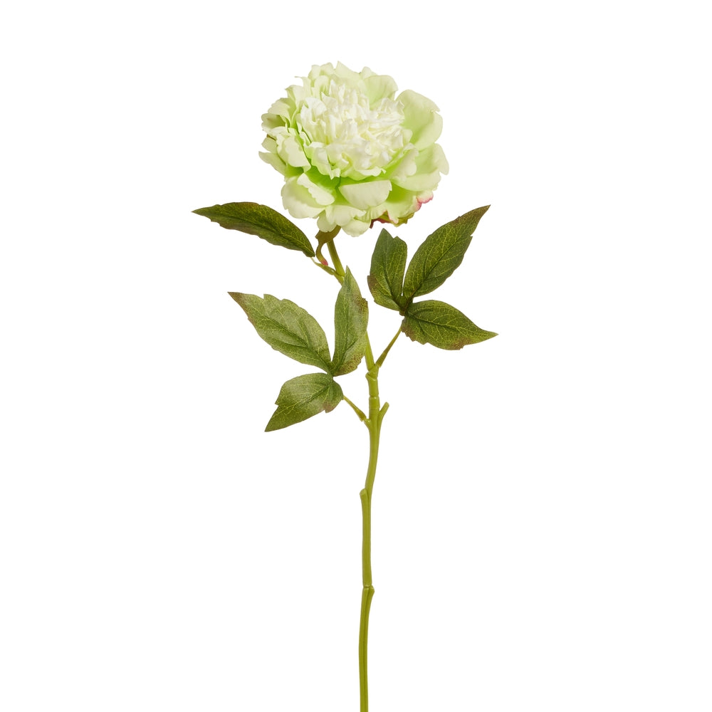 22.5" Real Touch Green Peony Stem