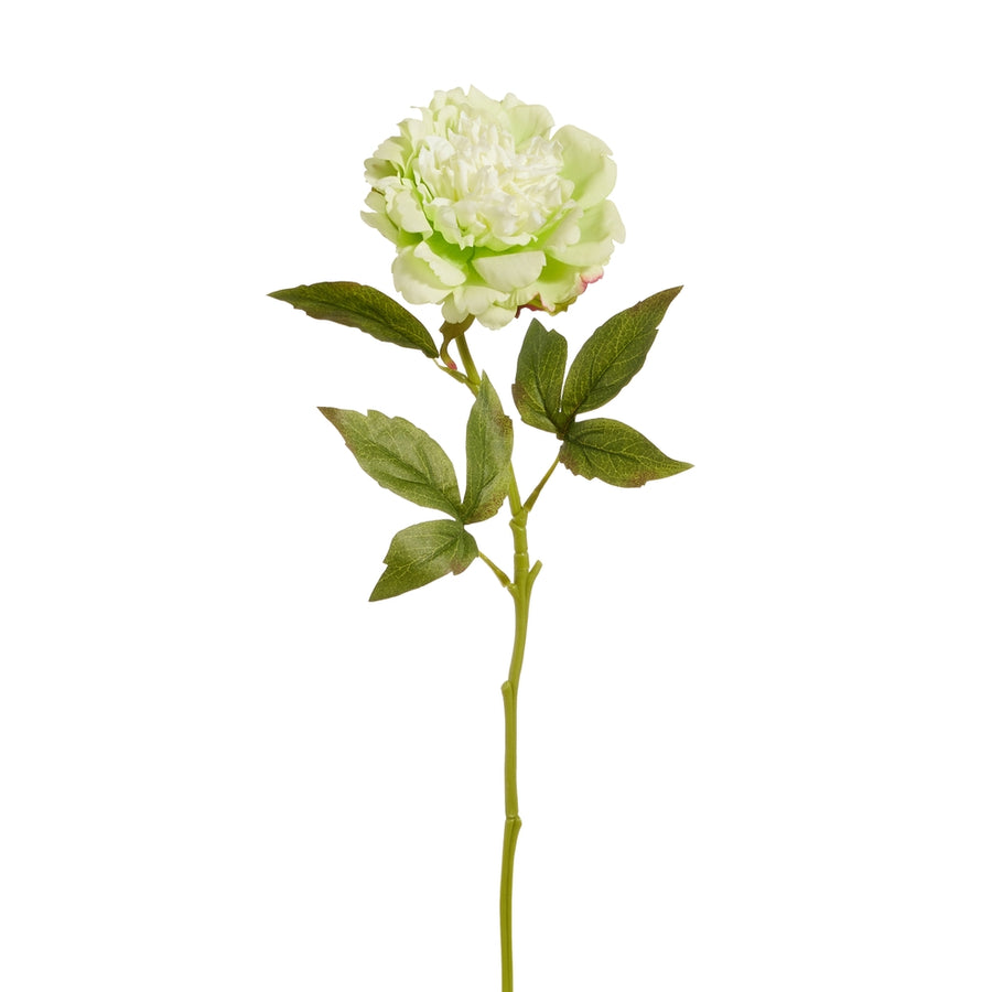 22.5" Real Touch Green Peony Stem
