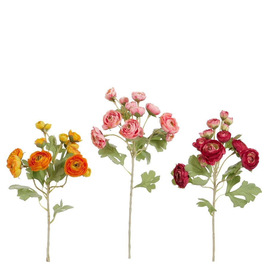 21.5" Ranunculus