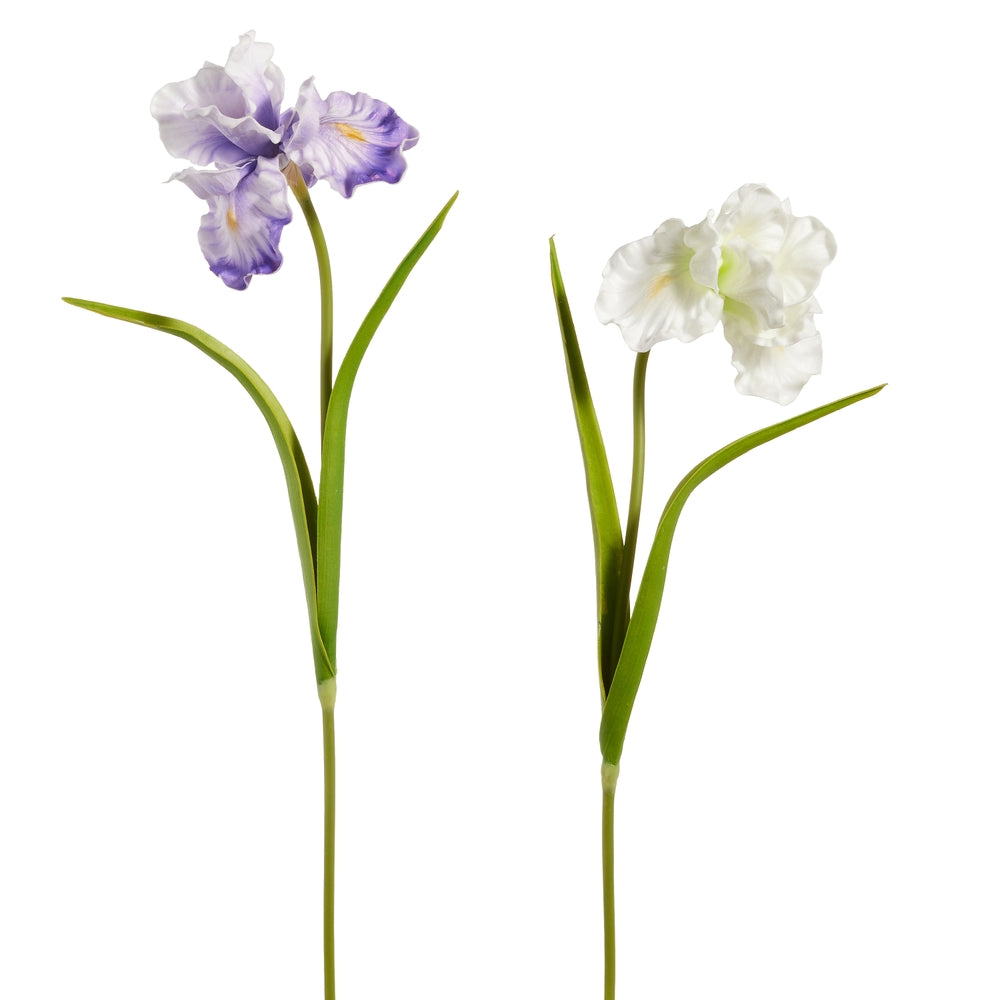 28" Iris Stem