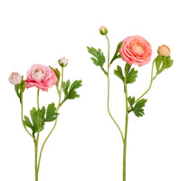 Pink Ranunculus Spray