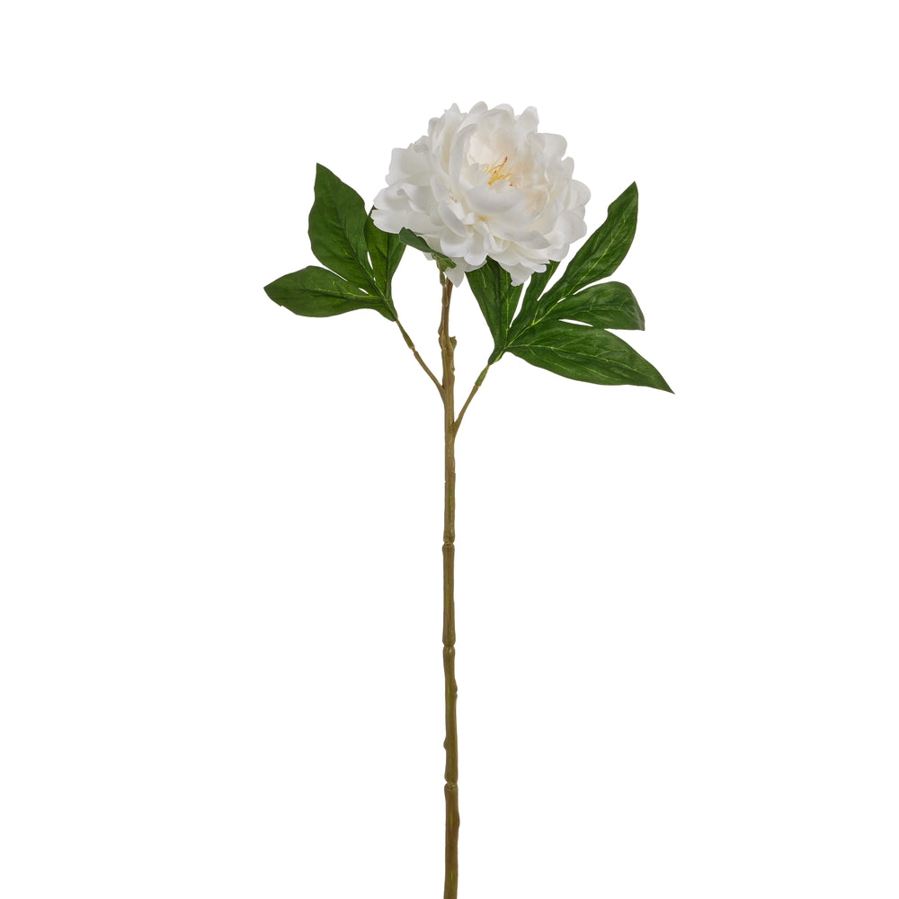 23" Real Touch White Peony Stem