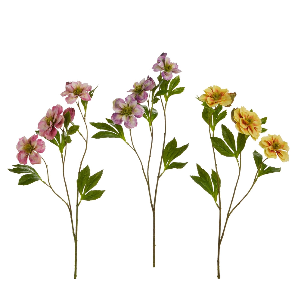 25" Multicolor Hellebores Spray