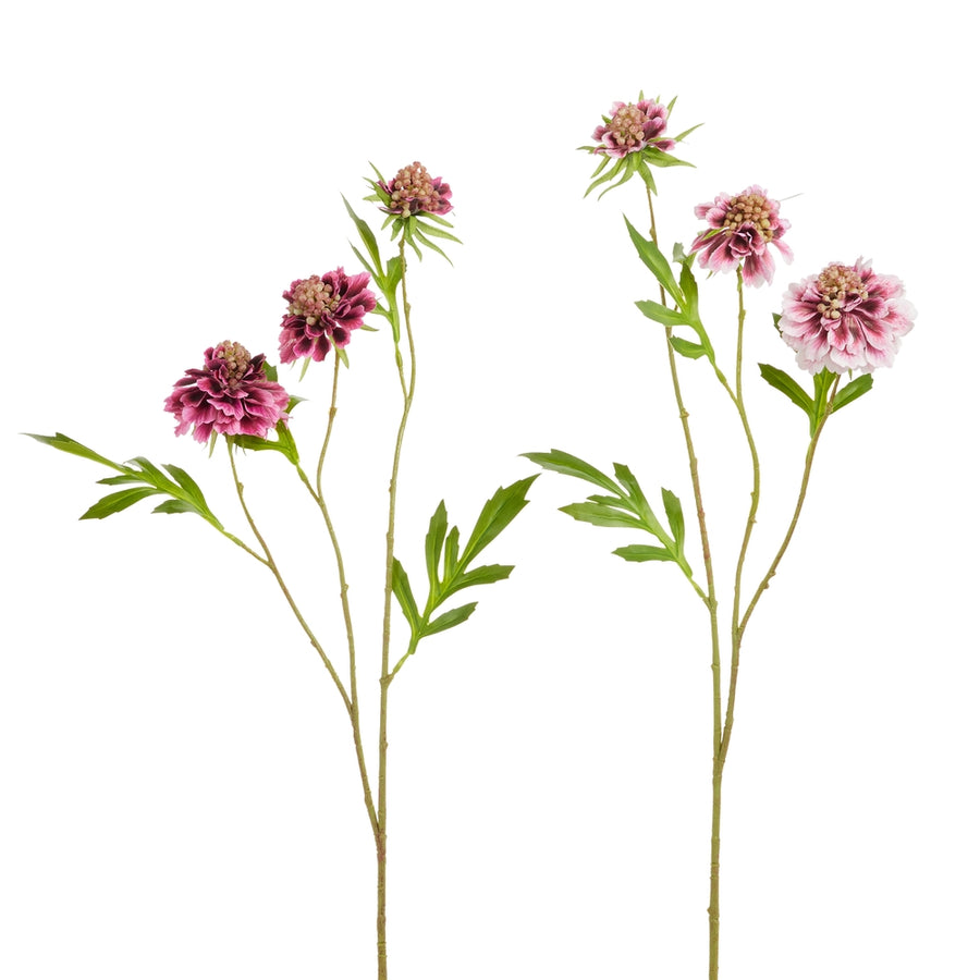24.5" Purple Scabiosa Spray