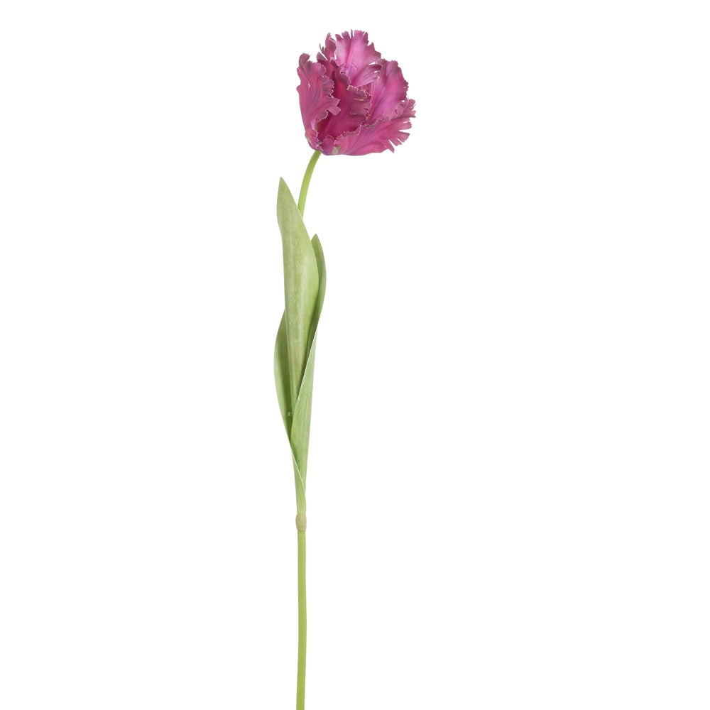 28" Real Touch Dark Purple Parrot Tulip