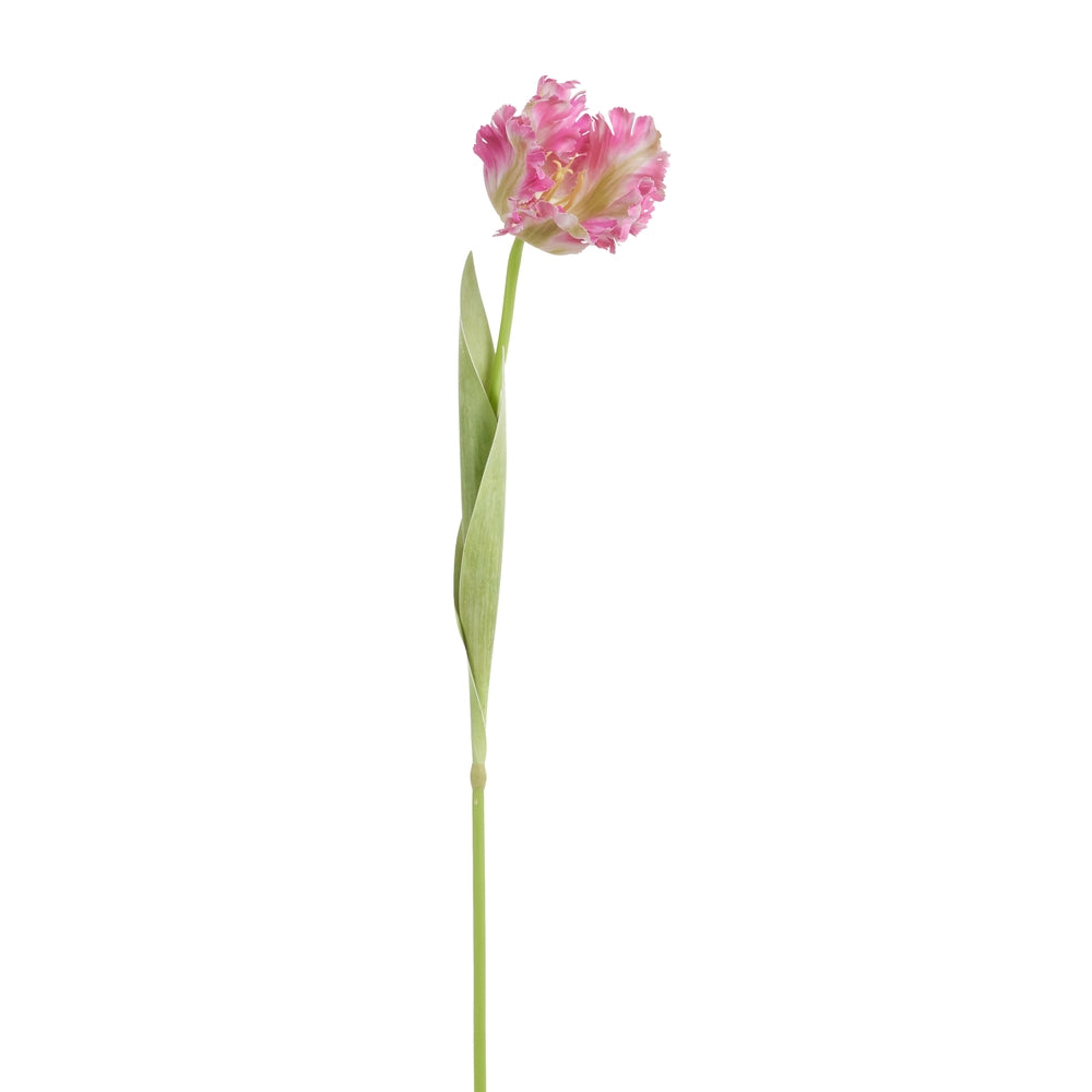 28" Real Touch Pink Parrot Tulip