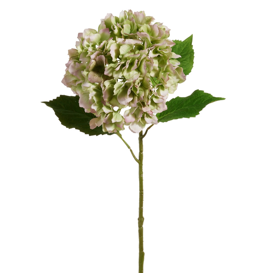 27.5" Green and Purple Hydrangea