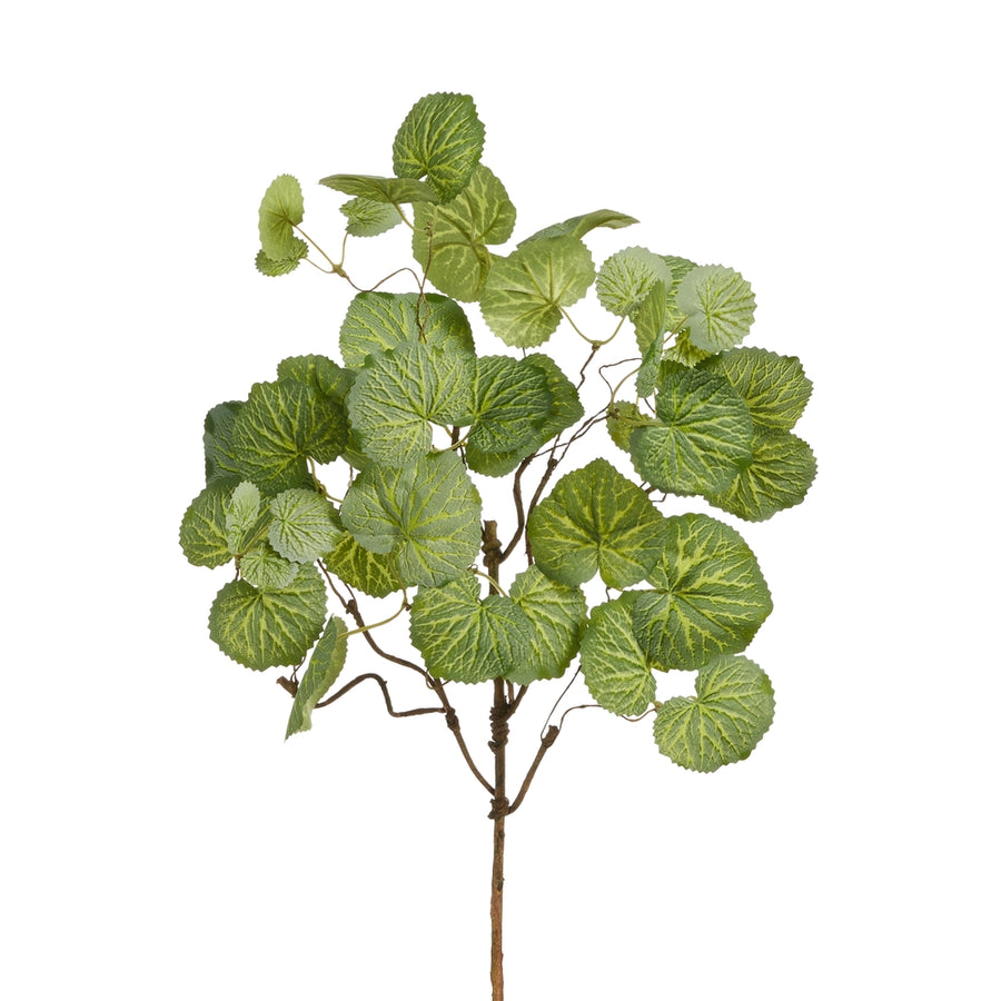 22" Begonia Leaf Pick