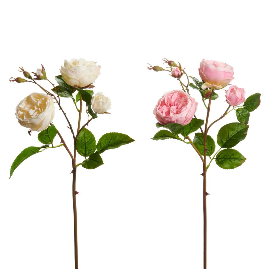 23" Pink and White Roses