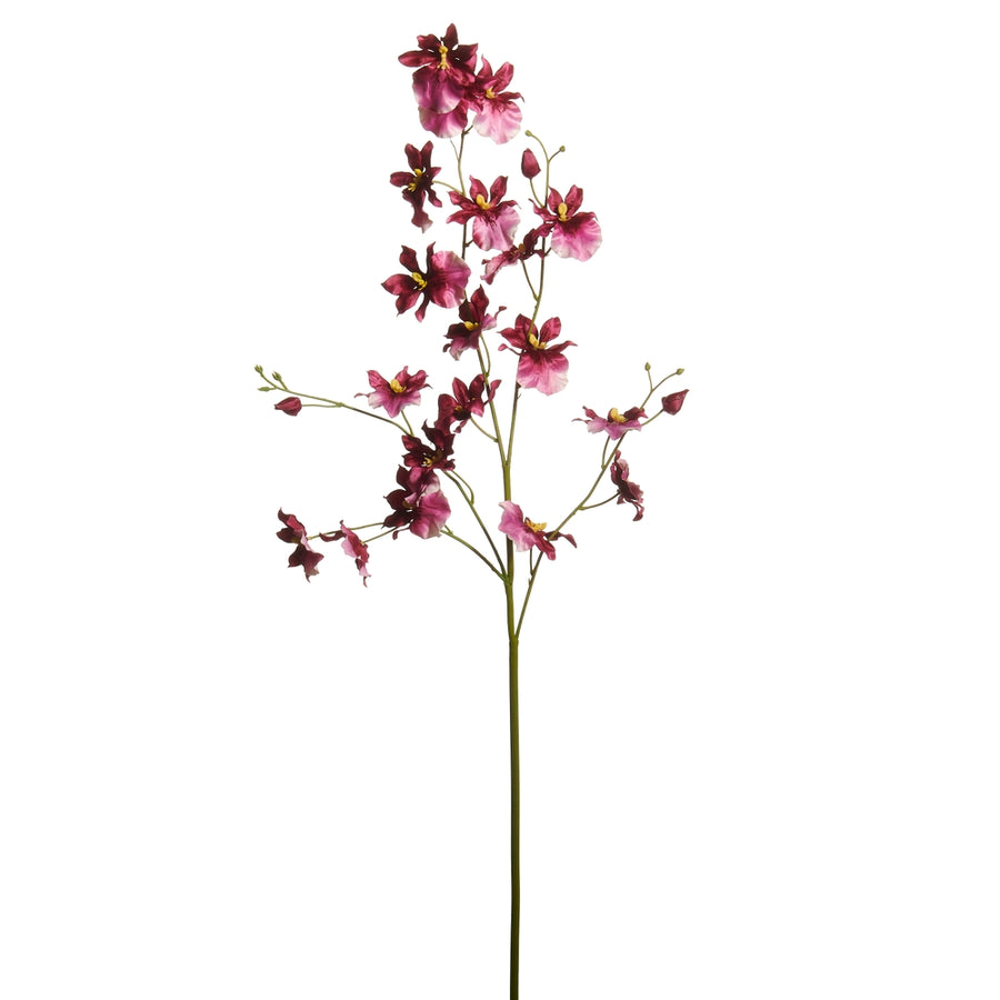 32.5" Dark Purple Dancing Orchid