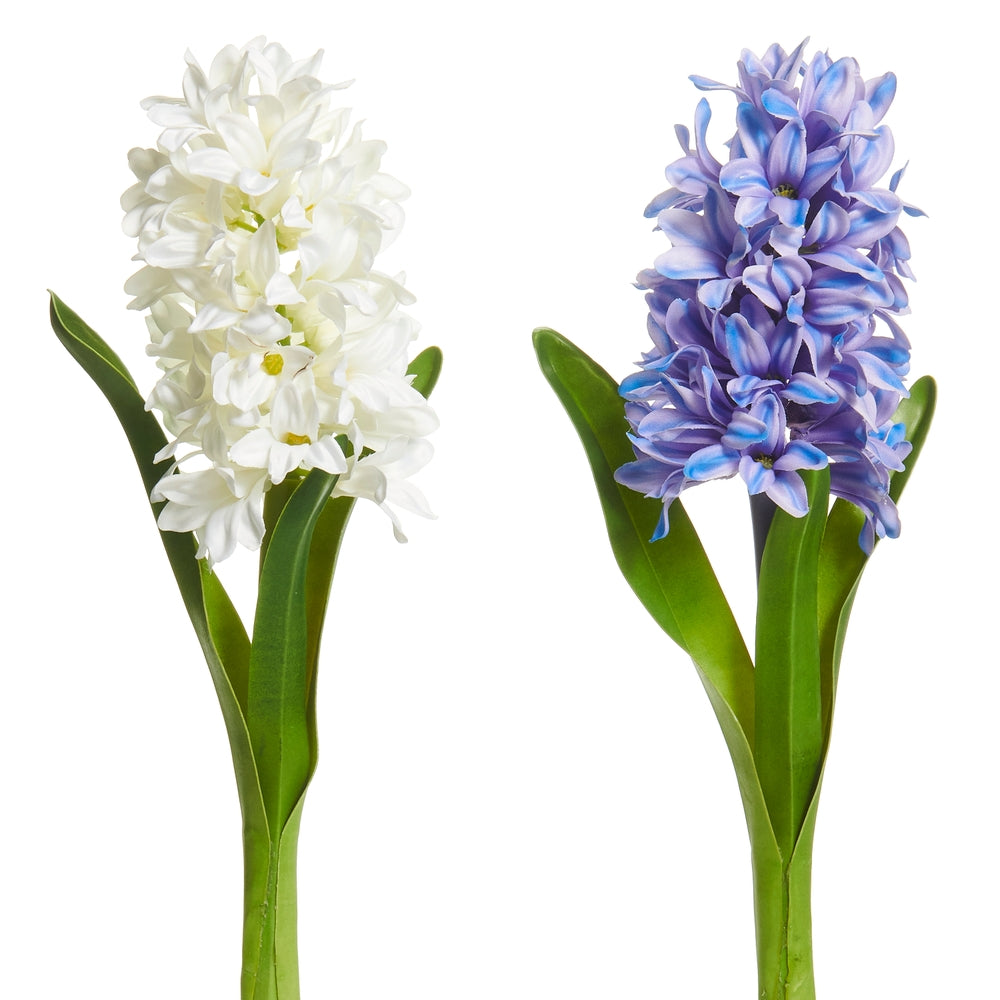 13" White and Purple Hyacinth