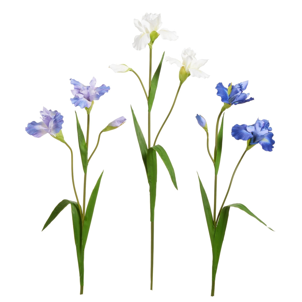 31.5" Multicolor Iris