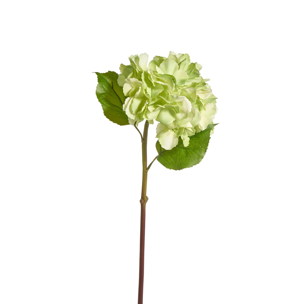 24" Natural Touch Green Hydrangea