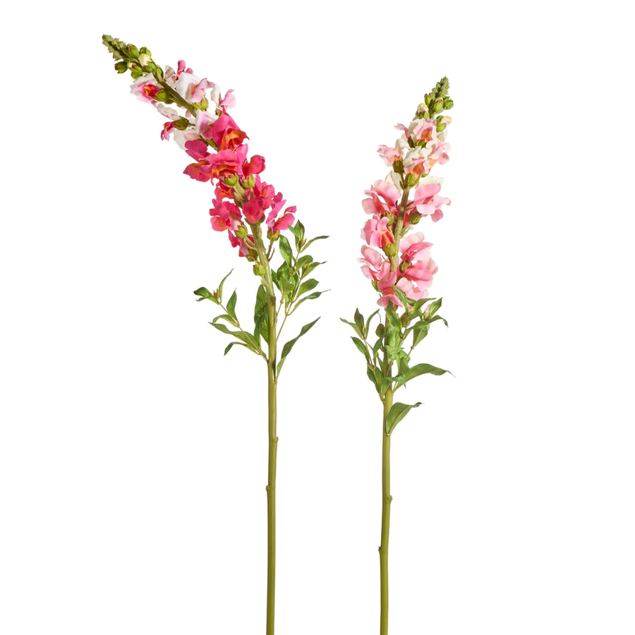 34" Pink Snapdragons
