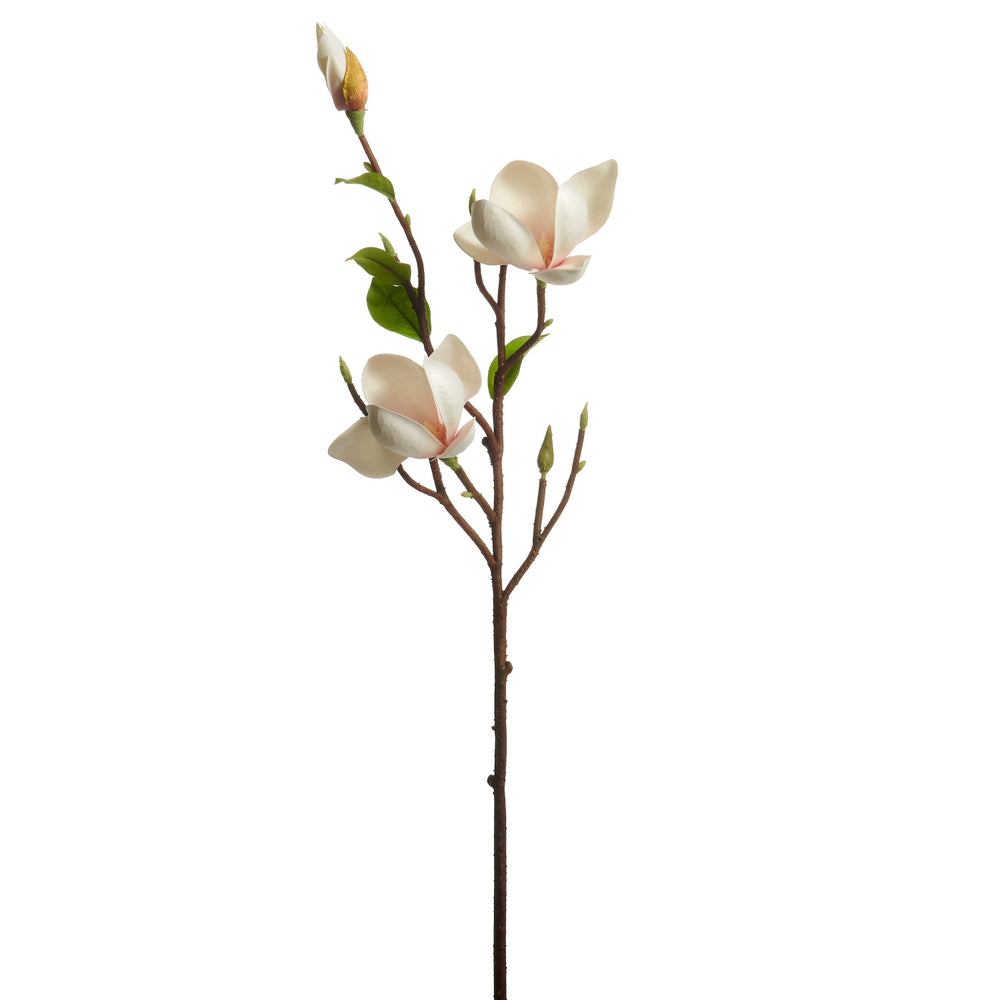 26.5" White Japanese Magnolia