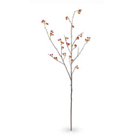 Bittersweet Stem