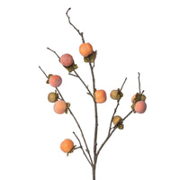 Persimmon Branch