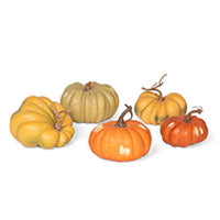 Kentucky Field Pumpkin Collection, Set of 5, Assorted Styles