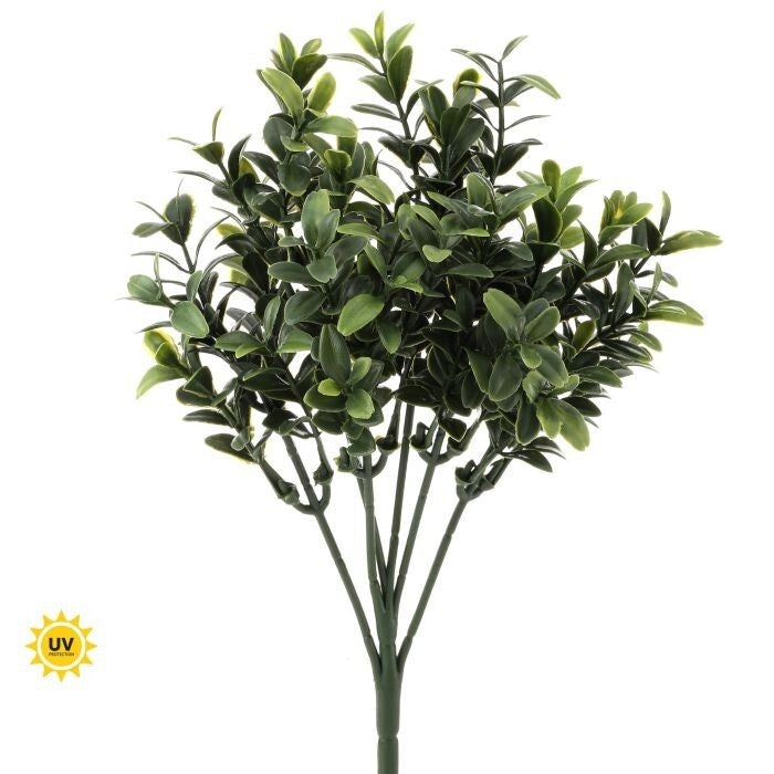 Deluxe Uv Boxwood Pick 10"