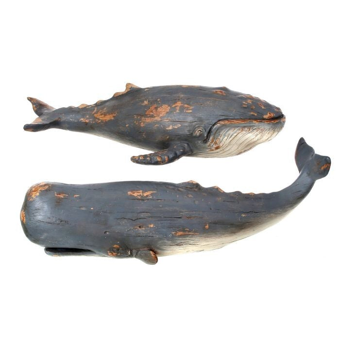 Resin Whale 13-14" 2 As"