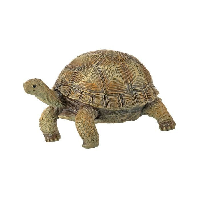 Resin Tortoise 7"