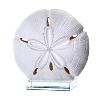 Resin Sand Dollar On Glass 7