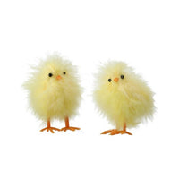 Fluffy Feather Chick 4