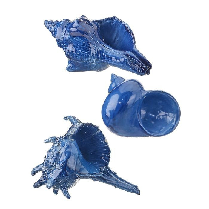 Resin 'Ceramic' Shell 5-5.5" 3As