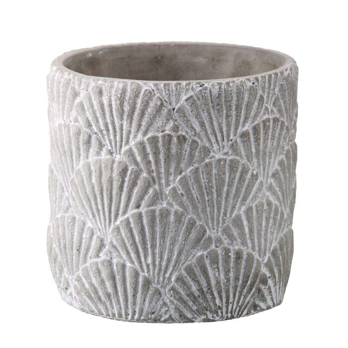 Cement Shell Relief Pot 6"X6"D