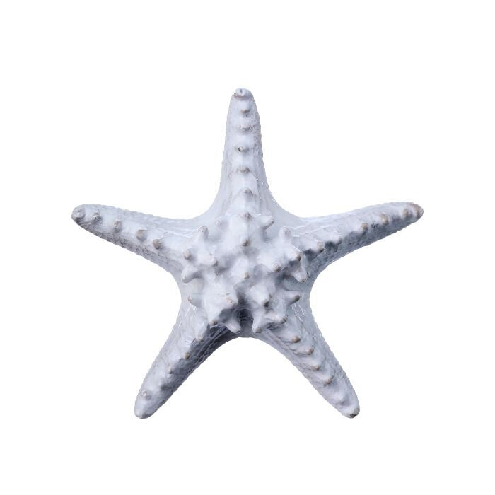 6" Resin Amalfi Starfish
