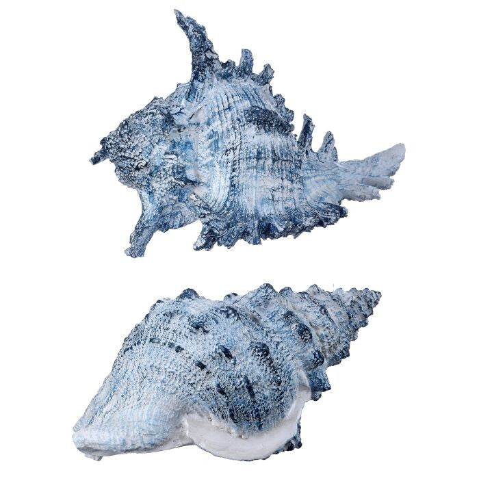 7.5" Resin Amalfi Coast Shell 2/Ast