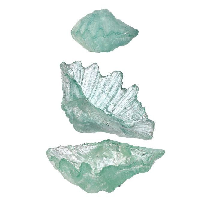 7.5" Clear Resin Open Shell Box Set/2