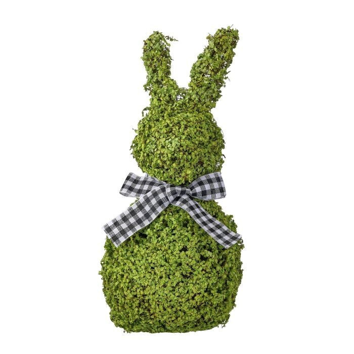 24" Baby Tears Vine Bunny